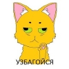 Аватар пользователя Инна Биктимирова