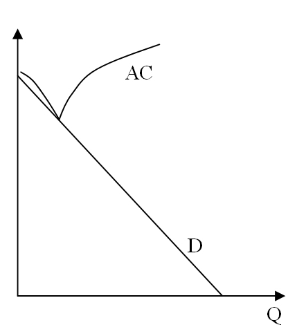 ptichka a.jpg